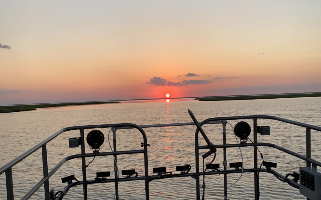 flounder gigging lights