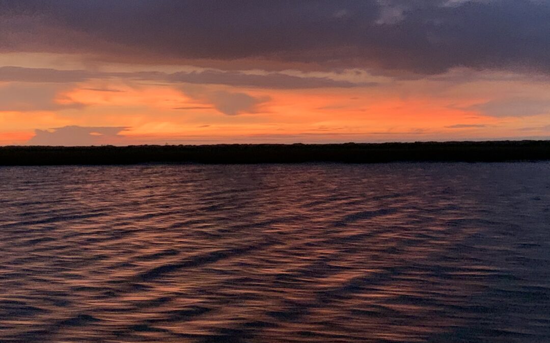 best flounder gigging lights